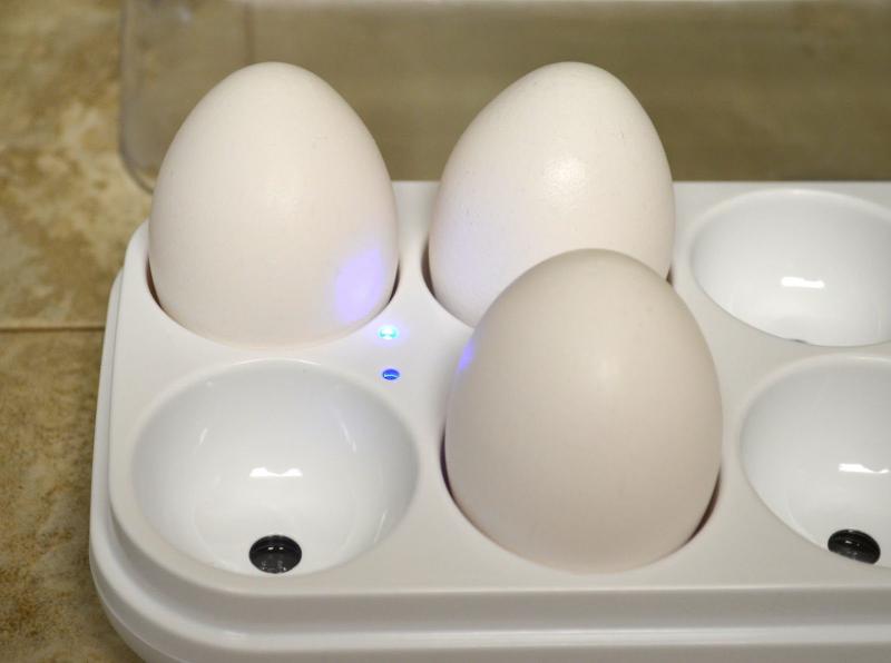 Egg Minder1