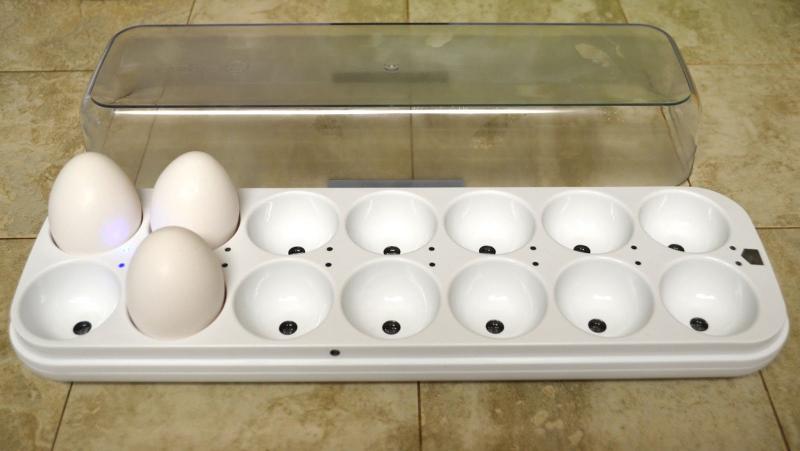Egg Minder3