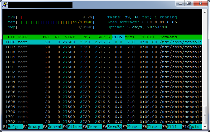 Htop R Pi